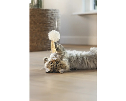 Eine Katze liegt auf dem Rücken und spielt mit einem Spielzeug.