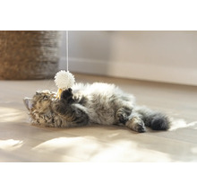 Eine Katze spielt mit einem Spielzeugball an einer Schnur auf dem Boden.