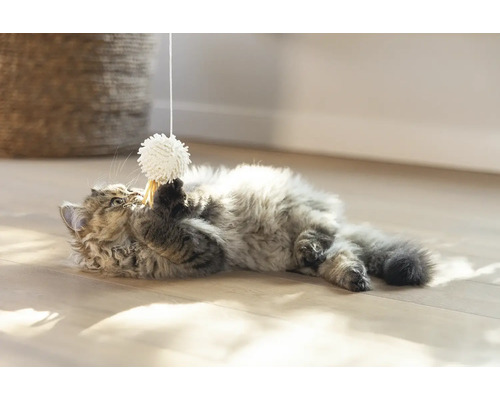 Eine Katze spielt mit einem Spielzeugball an einer Schnur auf dem Boden.