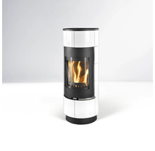 Kaminofen mit Holzfeuer hinter einer Glasscheibe
