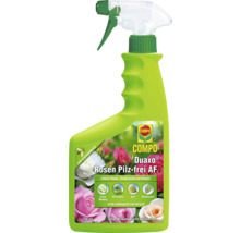 COMPO Duaxo Rosen Pilzfrei AF Pflanzenschutzmittel in einer 750-Milliliter-Sprühflasche