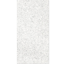 FLAIRSTONE Feinsteinzeug Terrassenplatte Granitfarben rektifizierte Kante 60 x 30 x 3 cm