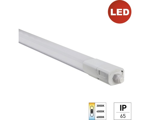 LED Feuchtraum-Lichtleiste plus (Lichtfarbe einstellbar) 1103x52x41 mm 36 W 4900 lm 4000 K IP 65 weiß