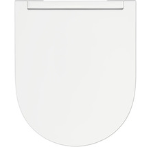Toilettendeckel aus Kunststoff