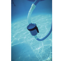 Unterwasseraufnahme eines Poolreinigers mit Schlauch