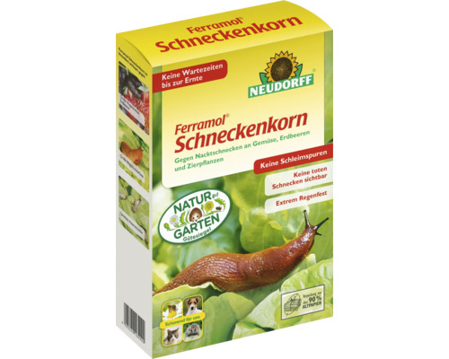 Schneckenschutz & Schneckenbekämpfung