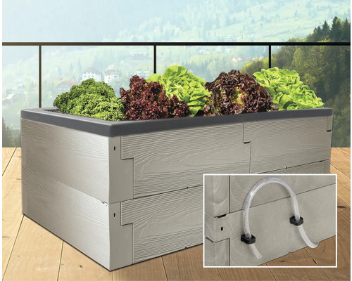 Hochbeet mit Salatpflanzen auf einer Terrasse mit Blick auf eine hügelige Landschaft