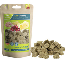DauerKauer Käse-Cranberry Hundeleckerli, 100 Gramm Packung