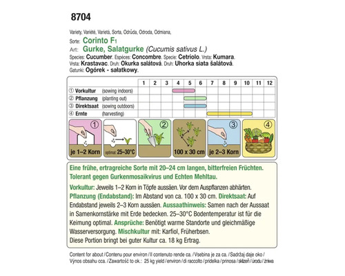 Informationen zur Salatgurke Corinto F1 mit Hinweisen zu Aussaat, Pflanzung und Ernte