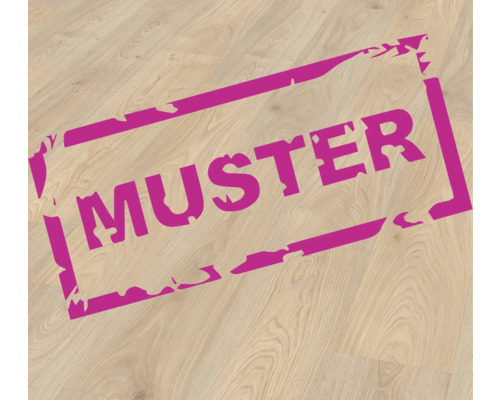 Muster eines Laminatbodens
