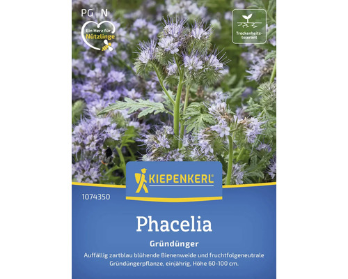 Gründünger Kiepenkerl Bienenfreund/Phacelia für 100 m²