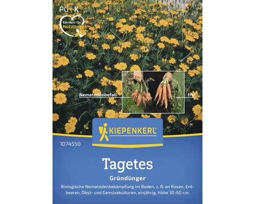 Gründünger Kiepenkerl Nematodenkiller Tagetes für 100 m²