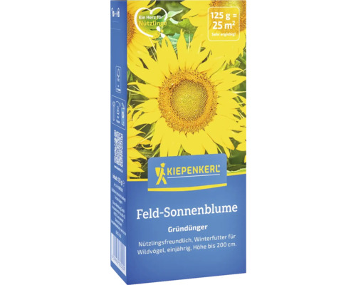 Gründünger Kiepenkerl Feld-Sonnenblume für 100 m²