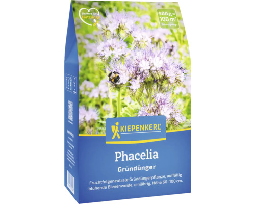 Gründünger Kiepenkerl Bienenfreund/Phacelia 0,4 kg für 100 m² Packung Phacelia Gründünger mit Blüten und einer Hummel