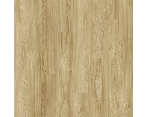 Parador Laminat wasserfest Ulme Landhausdiele 1285 x 194 x 8 mm Heller Vinylboden mit Holzoptik