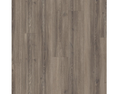 Parador Laminat wasserfest Basic 600 Studioline Braungrau Eiche Landhausdiele 2200 x 243 x 8 mm Dekorative Laminatbodenplatten mit Holzmaserung