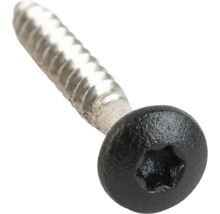 Schraube mit Torx-Antrieb