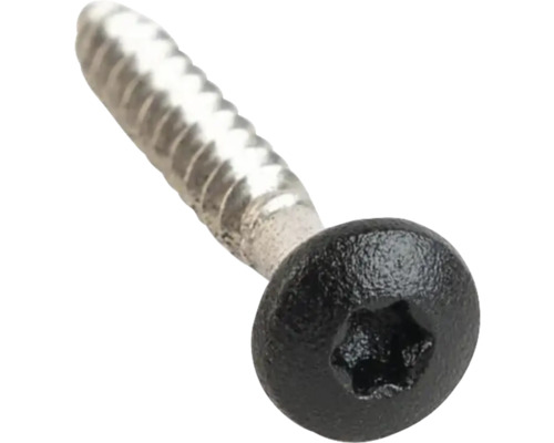 Schraube mit Torx-Antrieb