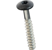 Holzbauschraube mit Torx-Antrieb