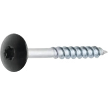 Linsenkopfschraube mit Torx Antrieb