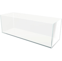 Leeres Glasaquarium zur Tierhaltung