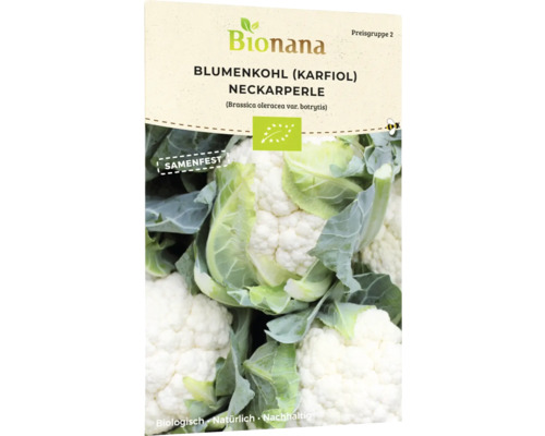 Gemüsesamen Bionana Blumenkohl 'Neckarperle'