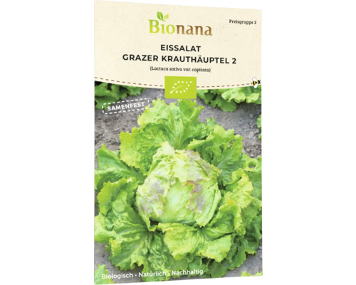 Salatsamen Bionana Eisbergsalat 'Grazer Krauthäuptel 2'