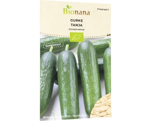 Gemüsesamen Bionana Gurke 'Tanja'