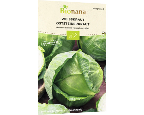 Kohlrabisamen & Kohlgemüsesamen