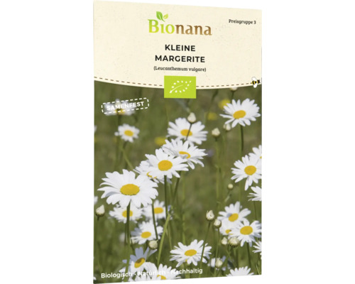 Blumensamen Bionana Margerite 'Kleine Margerite'