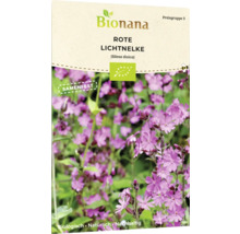 Bionana Rote Lichtnelke Samenpackung