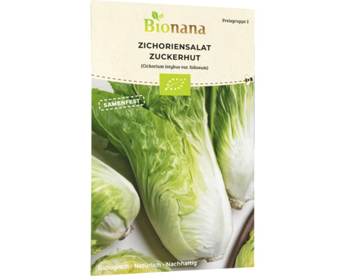 Salatsamen Bionana Zichoriensalat 'Zuckerhut'