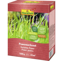 FloraSelf Power Nachsaat in einer 500 Gramm Packung für bis zu 15 Quadratmeter Fläche