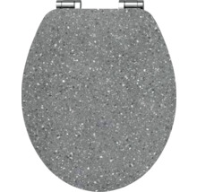 Toilettendeckel aus Kunstharz mit Metalleinfassungen