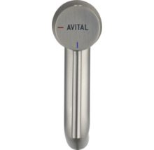 Avital Küchenarmatur in Silber