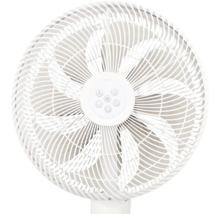Ventilator mit Schutzgitter