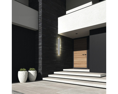 Moderne Hausfassade mit Haustür, Treppe, Außenleuchte und Pflanzenkübeln