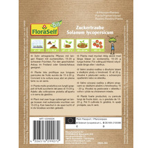 Zuckertraube Solanum lycopersicum Pflanzenbeschreibung