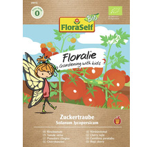Floralies Zuckertraube Cherrytomaten Samen