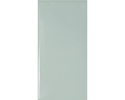 Steingut Wandfliese Metro 10x20 cm alga glänzend Keramikfliese