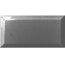 Graue glänzende Metrofliese