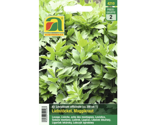 Austrosaat Liebstöckel Samenpackung