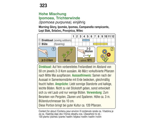 Informationen zur Aussaat der Trichterwinde
