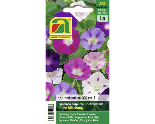 Samenpackung Trichterwinde hohe Mischung