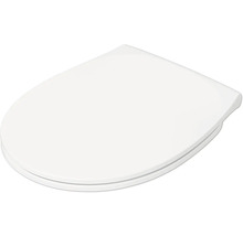 Toilettendeckel aus Kunststoff