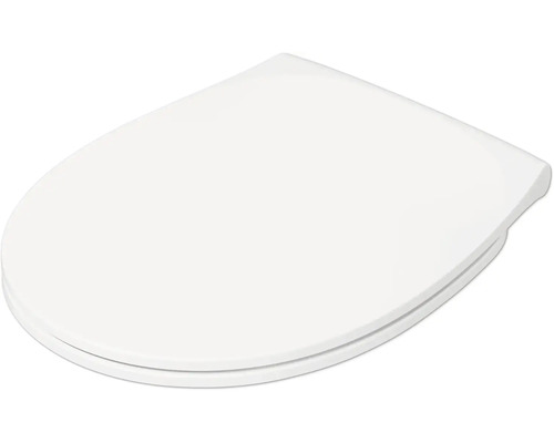 Toilettendeckel aus Kunststoff