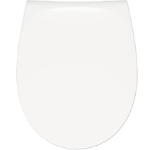 Toilettendeckel aus Kunststoff