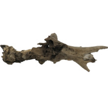 Treibholz zur Dekoration von Aquarien und Terrarien