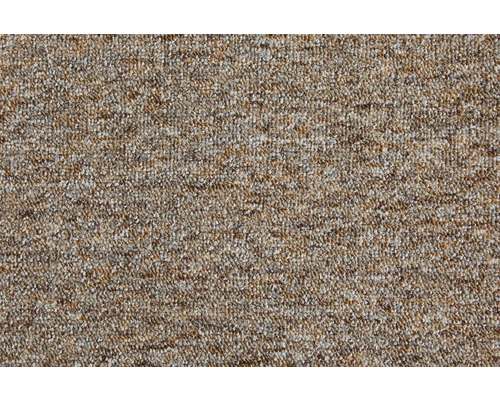 Teppichboden Schlinge Safia beige FB33 500 cm breit (Meterware) Nahaufnahme eines Teppichs