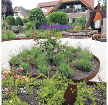 Gestalteter Garten mit Kieswegen, Blumenbeeten mit Rosen und Lavendel, Gartendekoration und Ziegelbrunnen